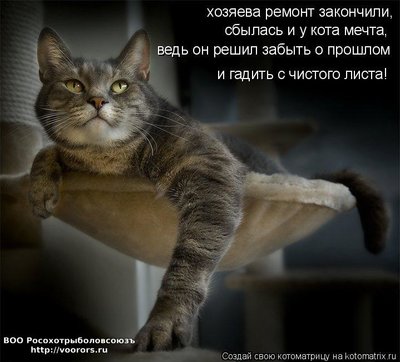 чист.jpg