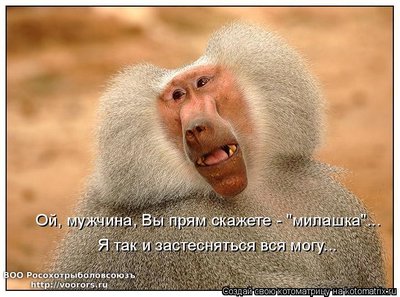 мл.jpg
