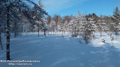 DSC_0008.JPG