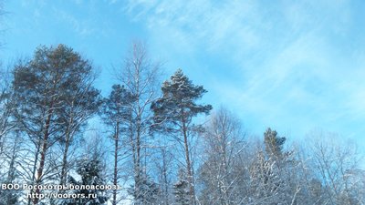 DSC_0005.JPG