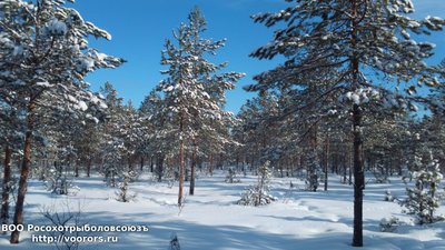 DSC_0010.JPG