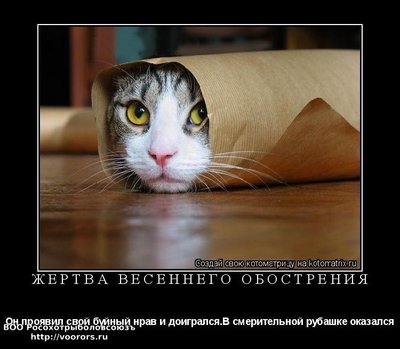 обос.jpg