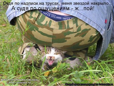 ж.jpg