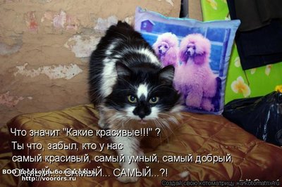 сам.jpg