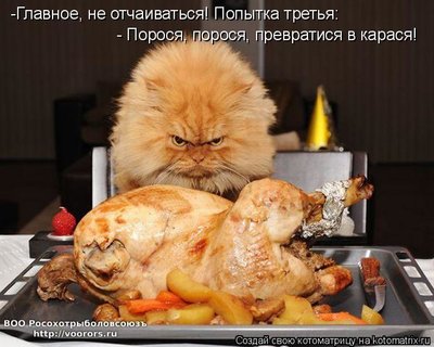 пор.jpg