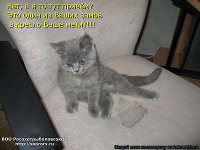 зам.jpg