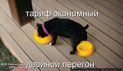 т.jpg