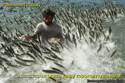 каша.jpg