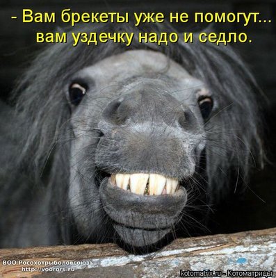 бре.jpg