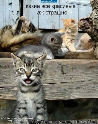 крас.jpg