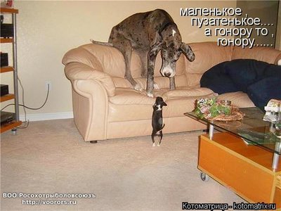 г.jpg