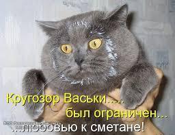 Без названия.jpg