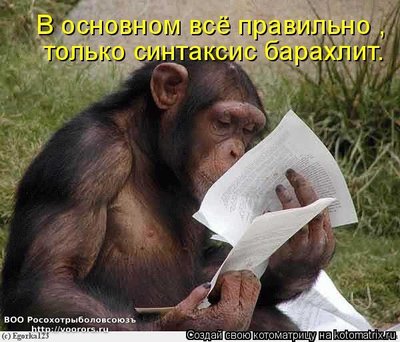 син.jpg