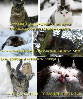 март.jpg