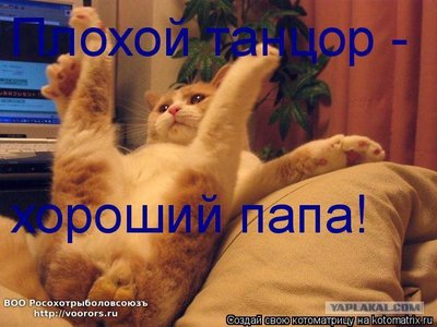 яй.jpg