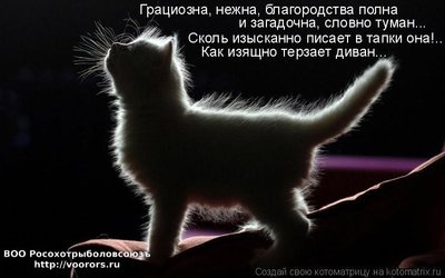 див.jpg