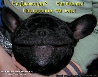 дж.jpg