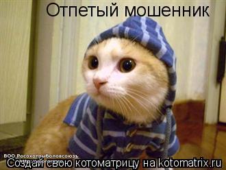 мош.jpg