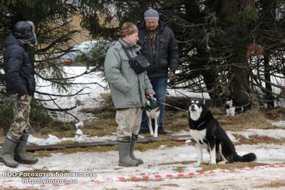 всл.jpg