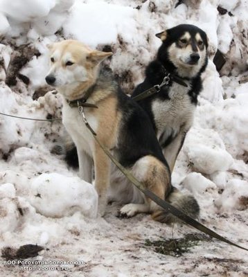 класс.jpg