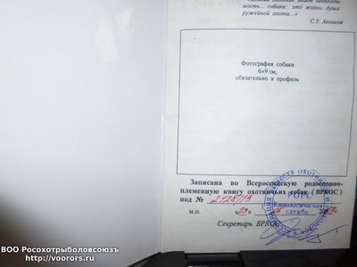 P1070891.JPG