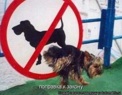 лн7ш.jpg