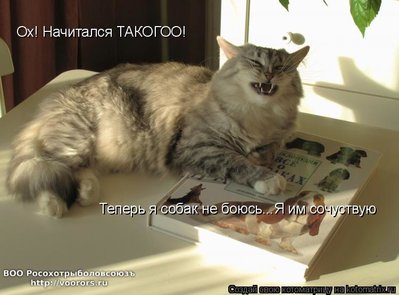 соч.jpg