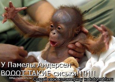 ад.jpg
