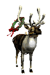 449.gif
