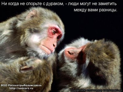 дур1.jpg