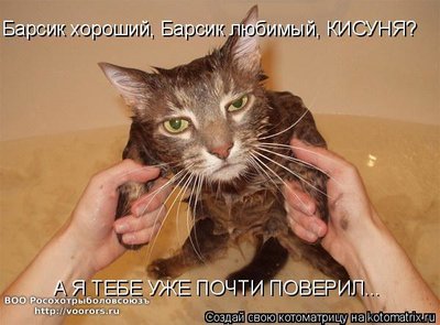 б.jpg