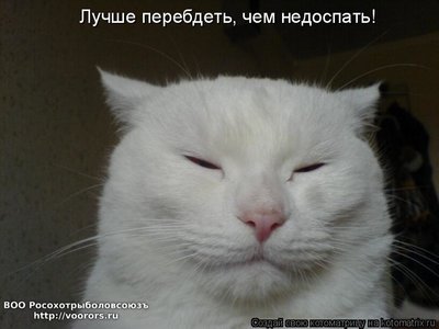 695942.jpg