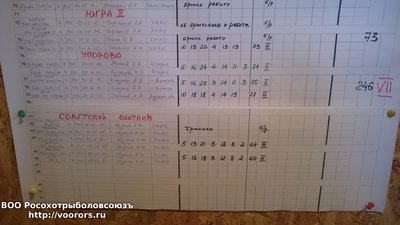 DSC_1605.JPG