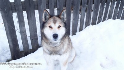 DSC_0003.JPG
