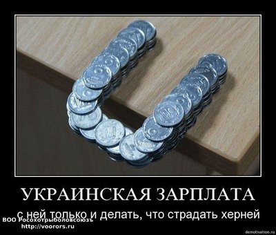 1243853792_719.jpg