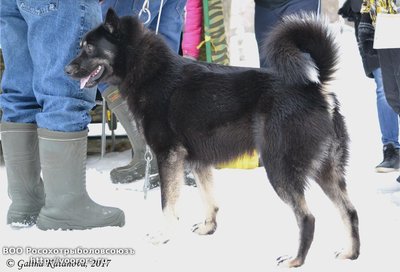 dsc_2475.jpg