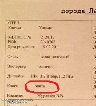 Удокан элита1.jpg