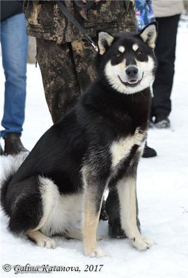 dsc_2554.jpg