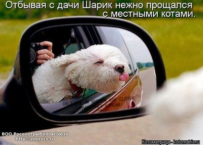 прощ.jpg