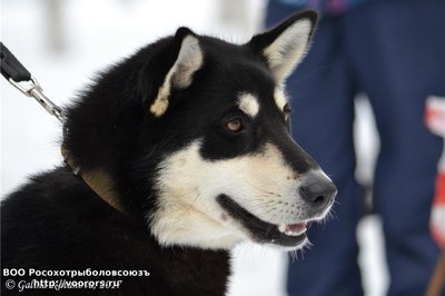 dsc_2546.jpg