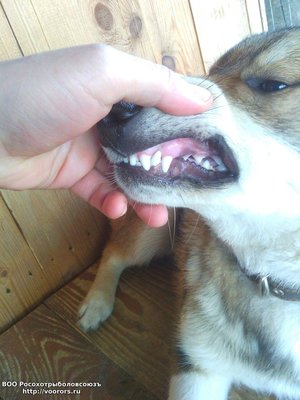 IMG-20170308-WA0021.jpg