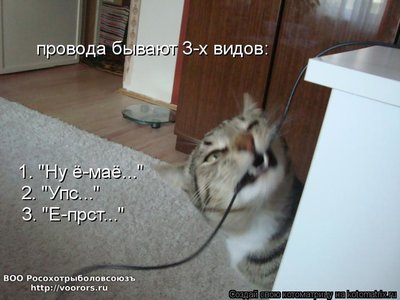 ёп.jpg