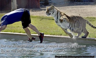 доп.jpg