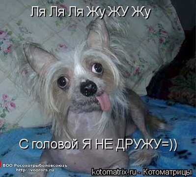 гол.jpg