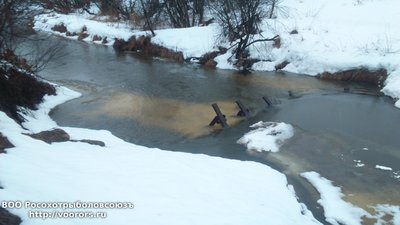 DSC_0001.JPG
