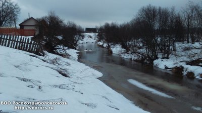 DSC_0004.JPG