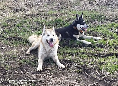 20170323_123622 - .jpg