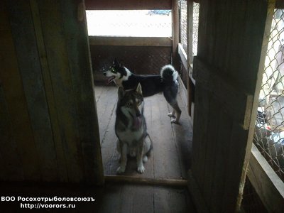 201703222855.jpg