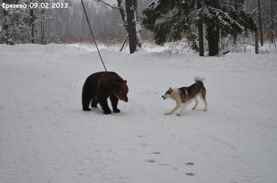 Фрязево2.jpg