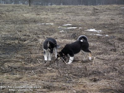 DSCF5252.JPG